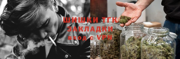 спиды Аркадак
