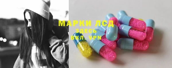спиды Аркадак