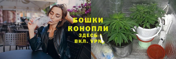 дмт Арсеньев