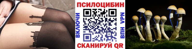 где можно купить   Урай  Галлюциногенные грибы прущие грибы 